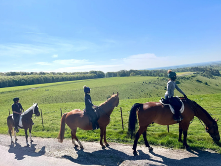 Wiltshire and Bournemouth